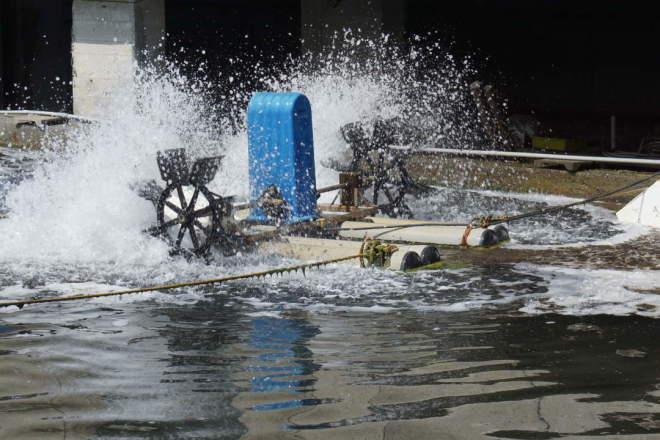 Aquaculture Site